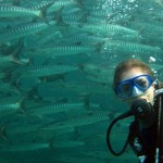Julia and the barracudas at Sipadan, Borneo